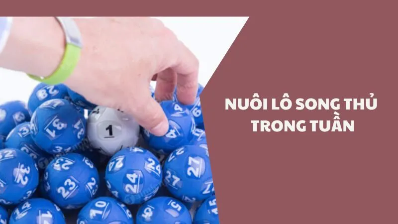 Nuôi lô song thủ trong tuần lợi nhuận cao